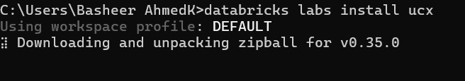 databricks labs install -