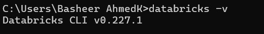 databricks v -