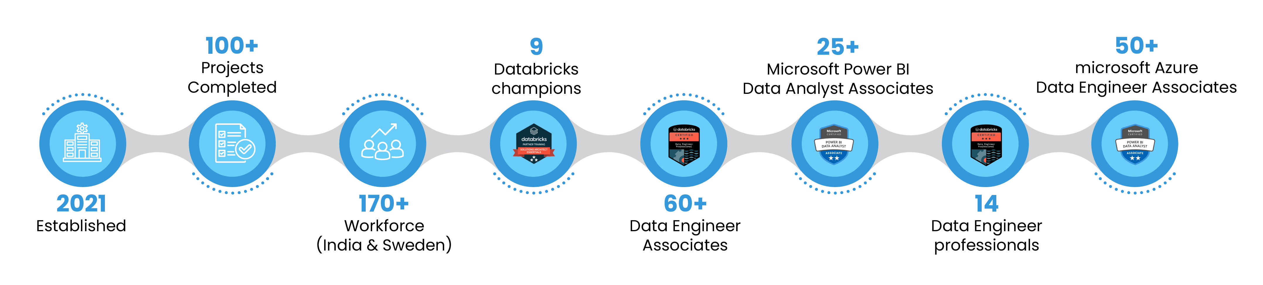 DATAVRICKS OVERVIEW